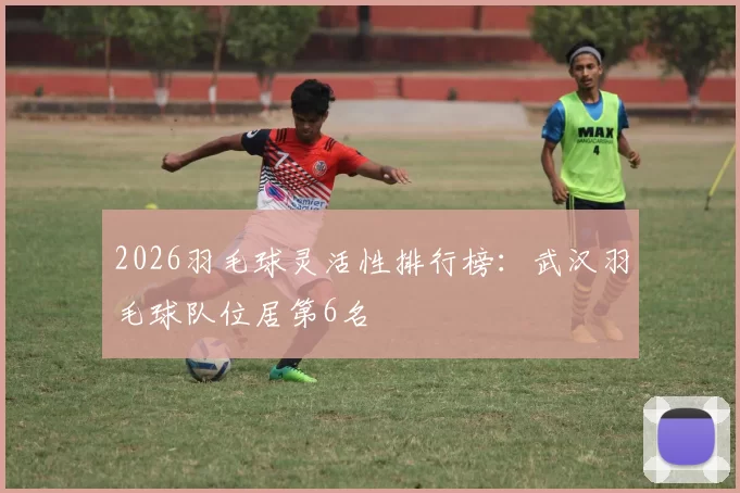 2026羽毛球灵活性排行榜：武汉羽毛球队位居第6名