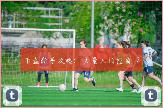 飞盘新手攻略：力量入门指南_2