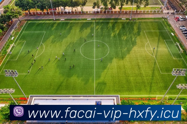 爱游戏体育平台生态图