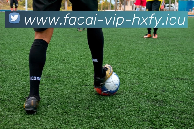 爱游戏体育APP 封面图